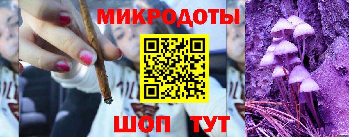 Псилоцибиновые грибы прущие грибы Георгиевск