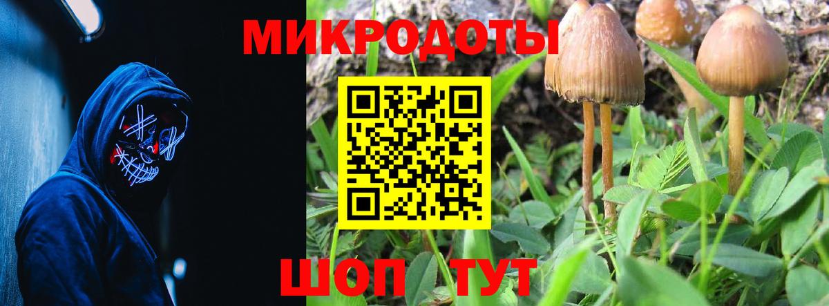 Георгиевск  Галлюциногенные грибы Magic Shrooms  Вход с VPN 